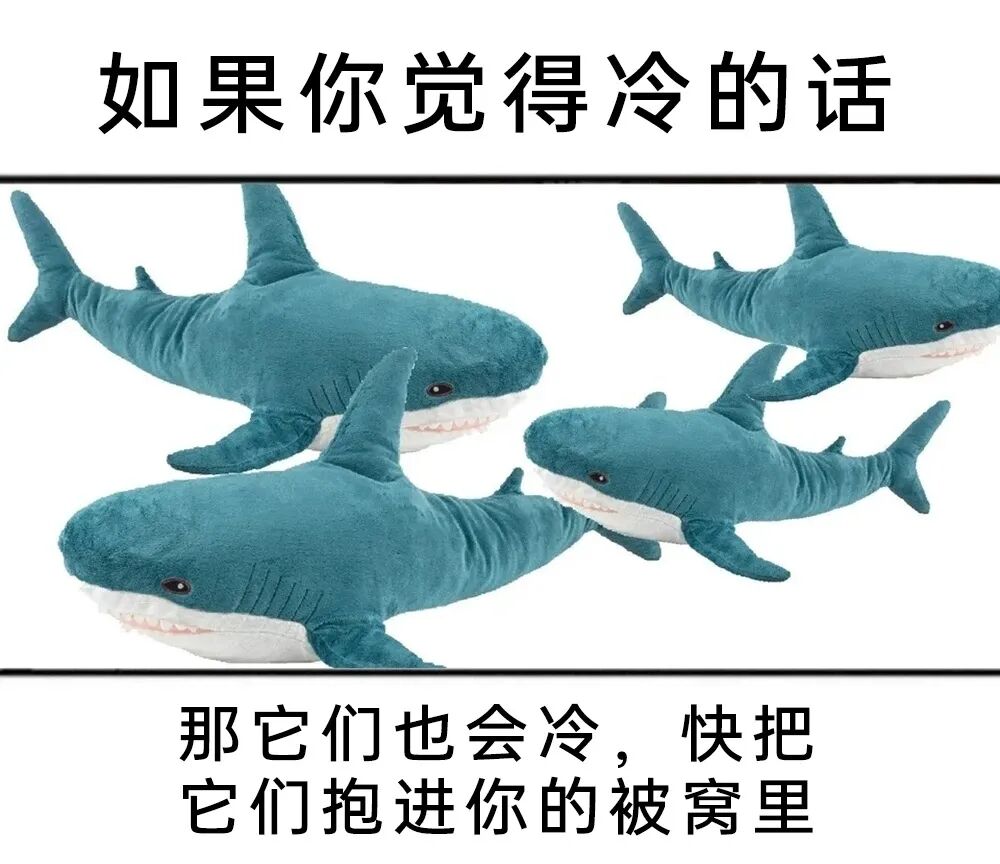 每日meme