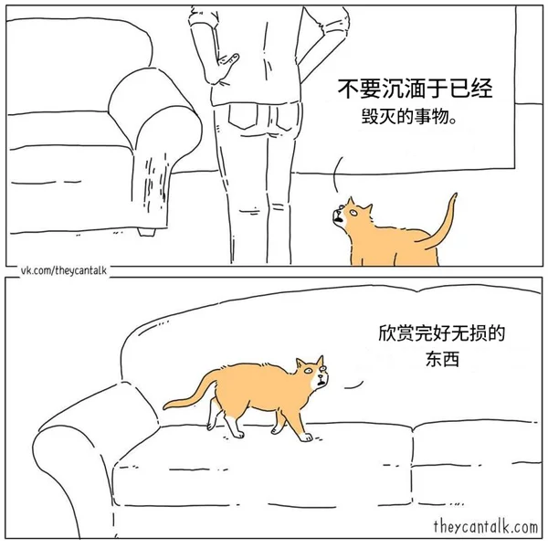 小猫说得对