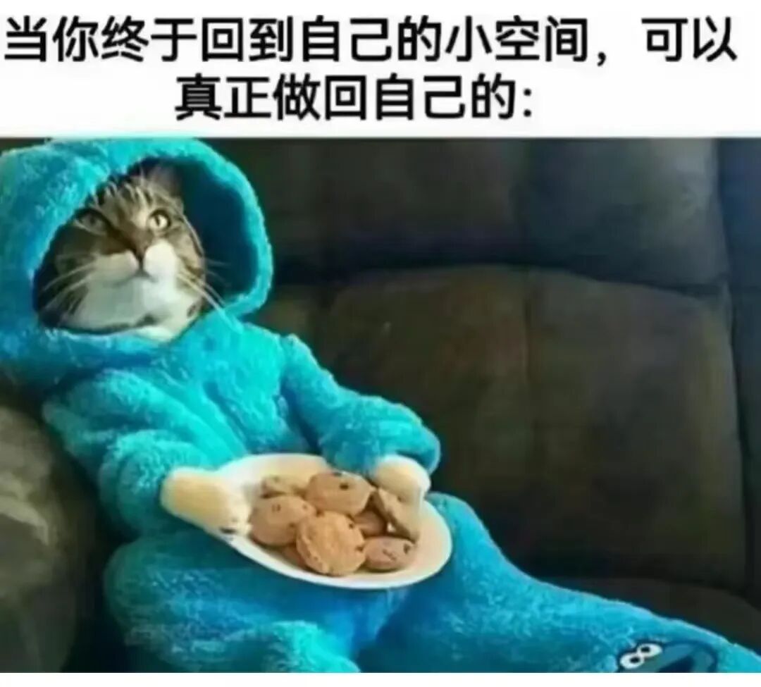 每日meme