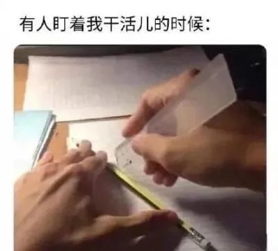 每日meme