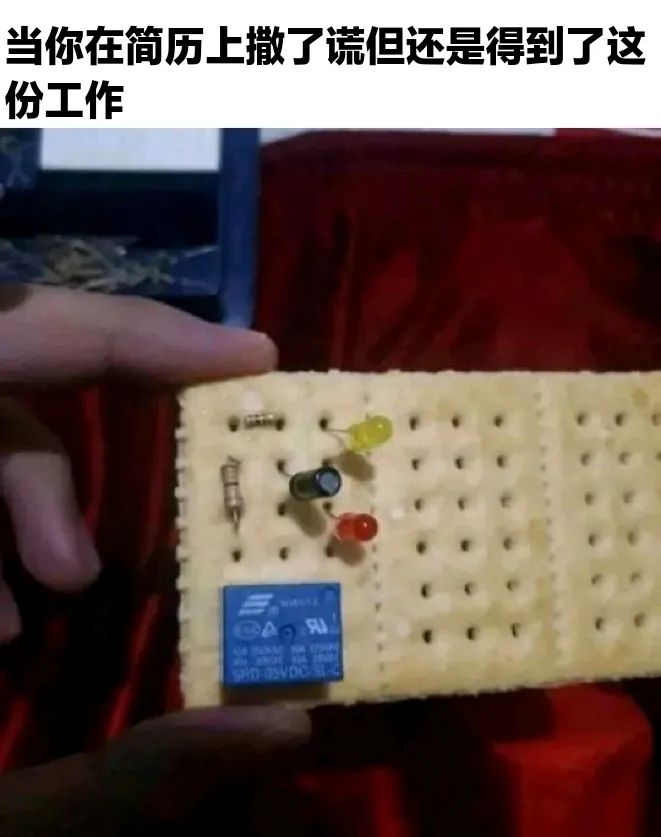 每日meme