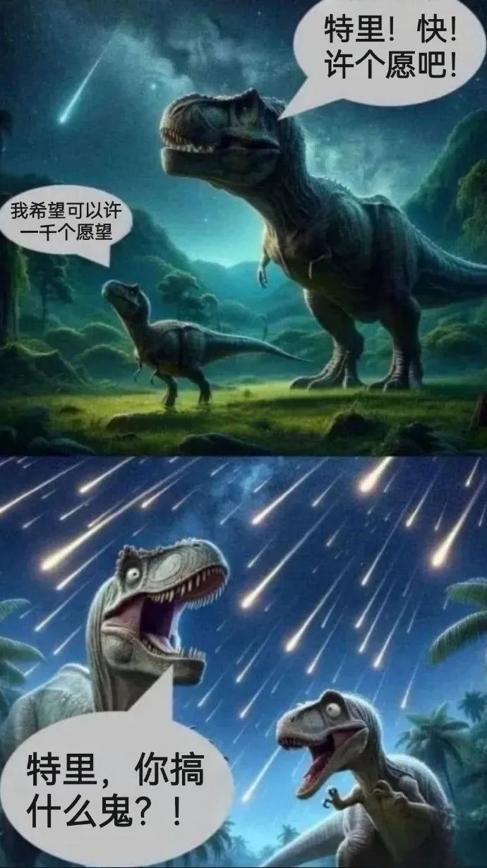 每日meme