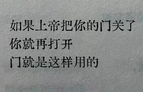 每日meme