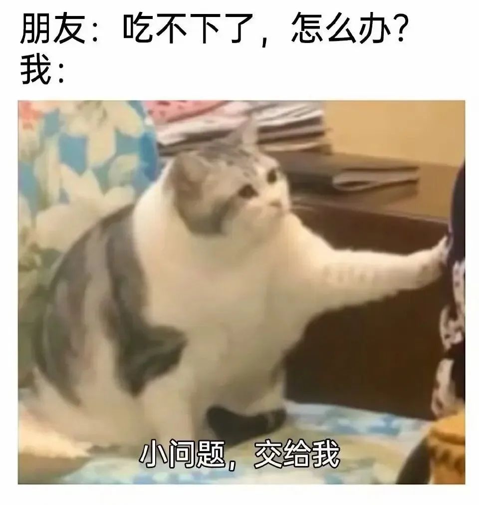 每日meme