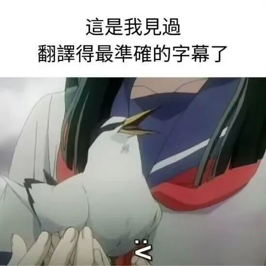 每日meme