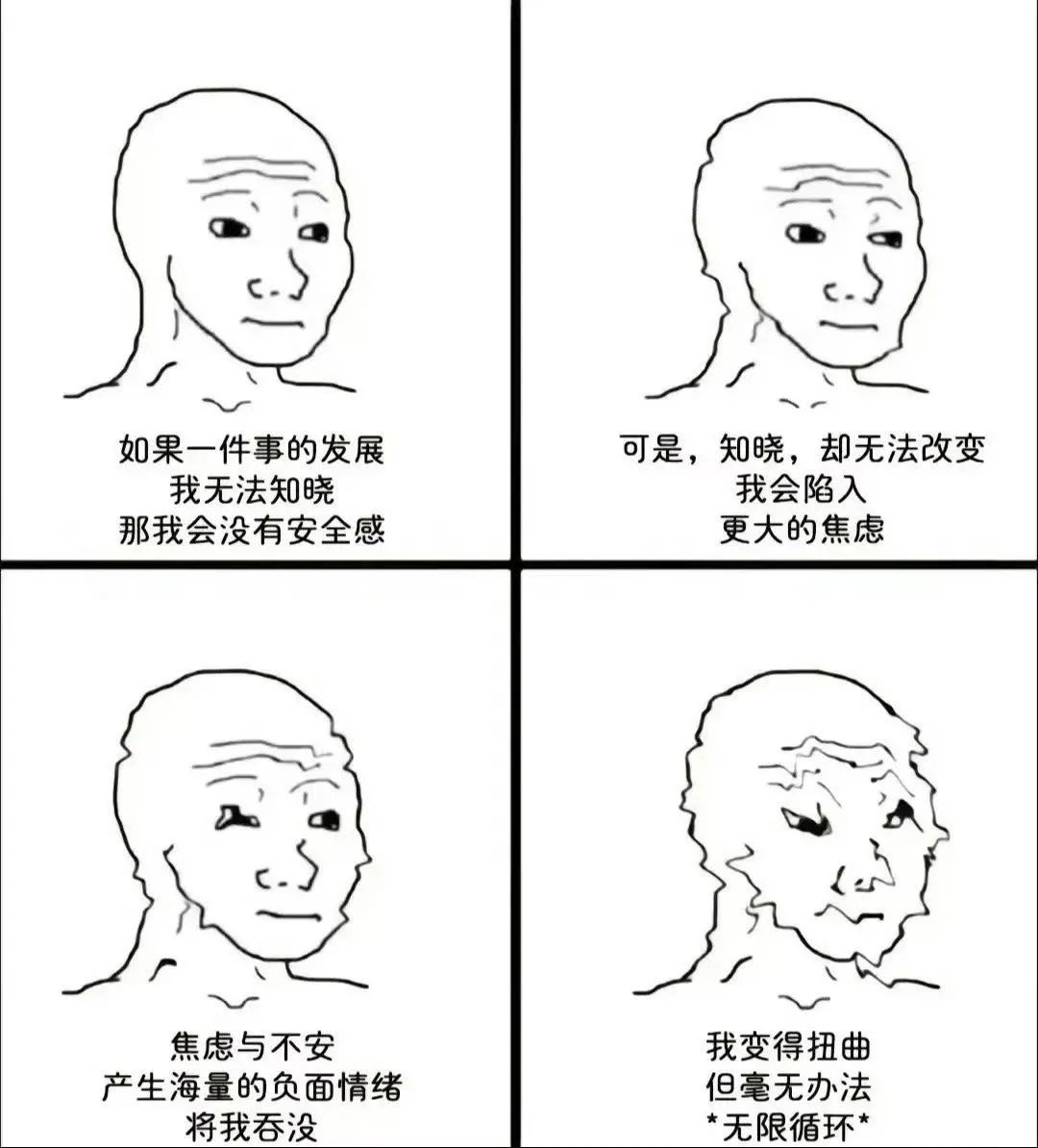 每日meme