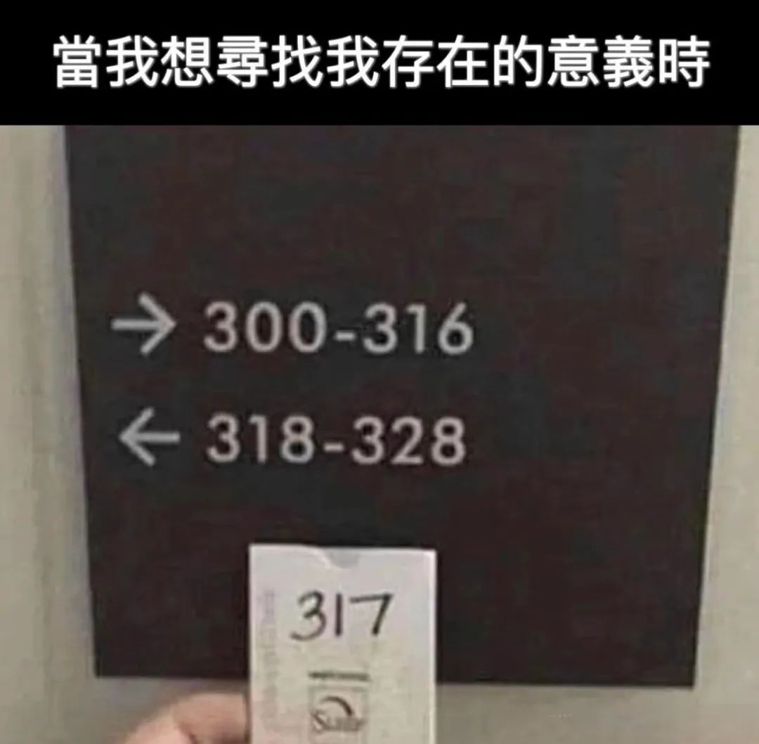 每日meme