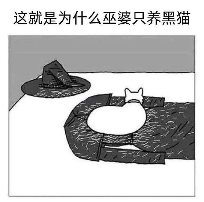 每日meme
