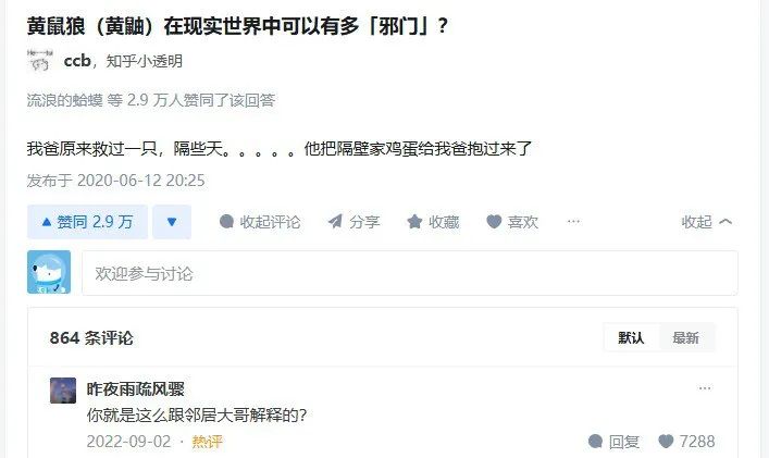 每日meme