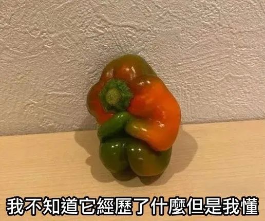 每日meme