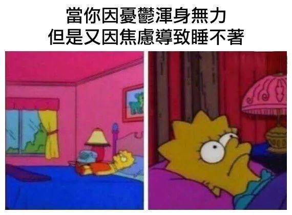 每日meme