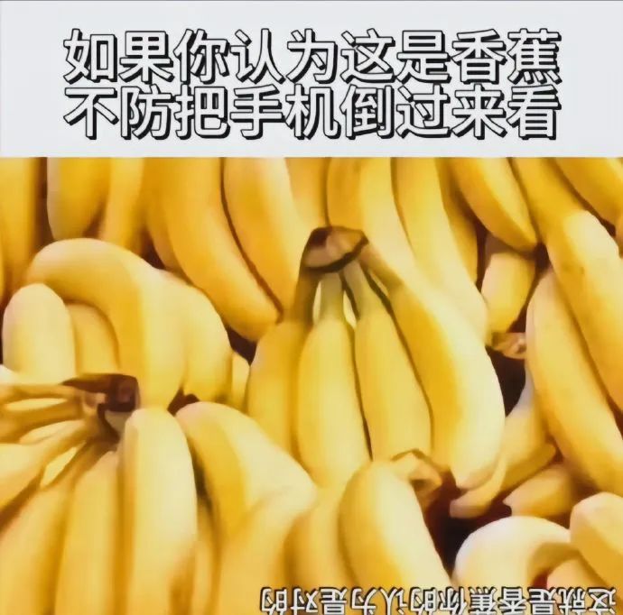 每日meme