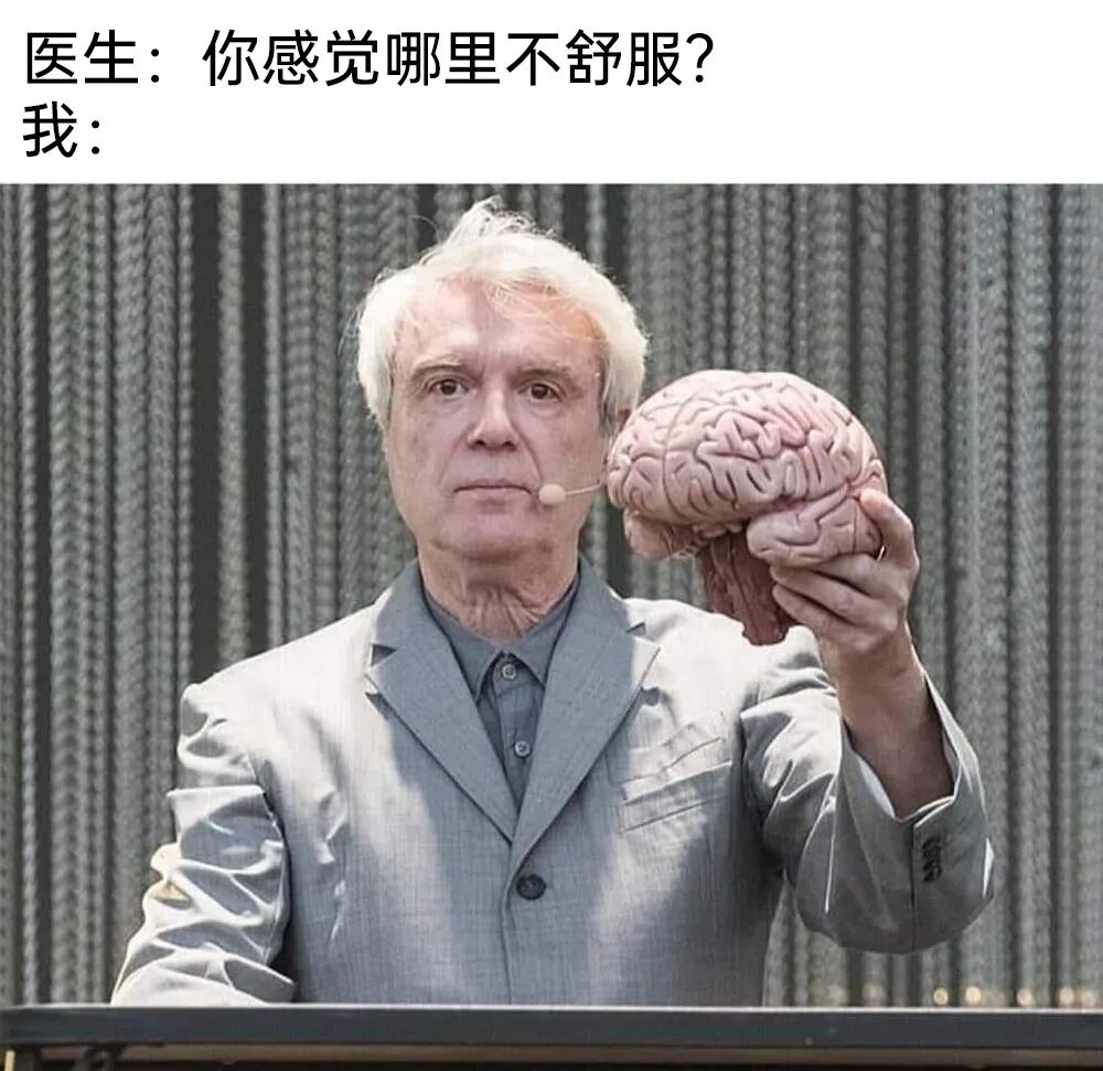 每日meme