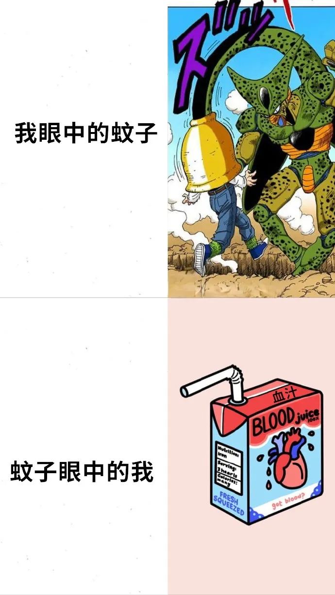 每日meme