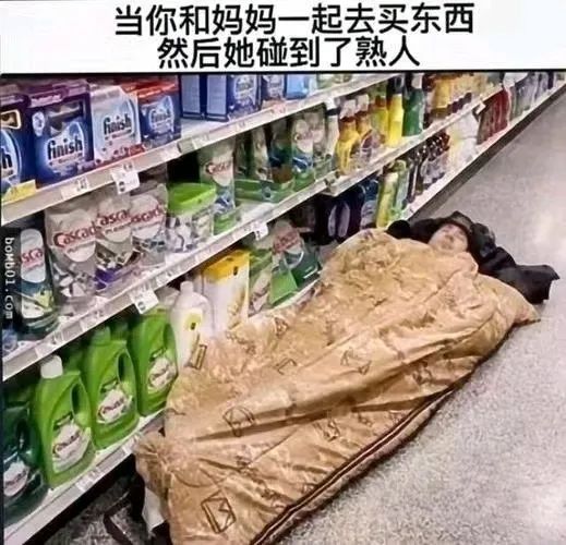 每日meme