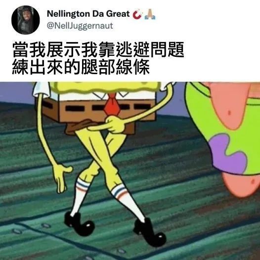 每日meme