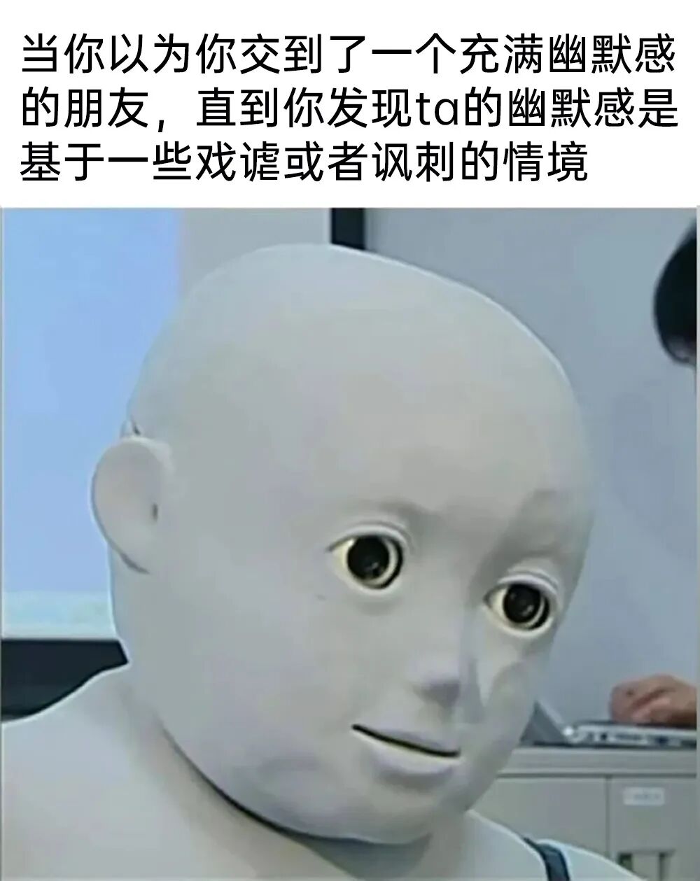 每日meme