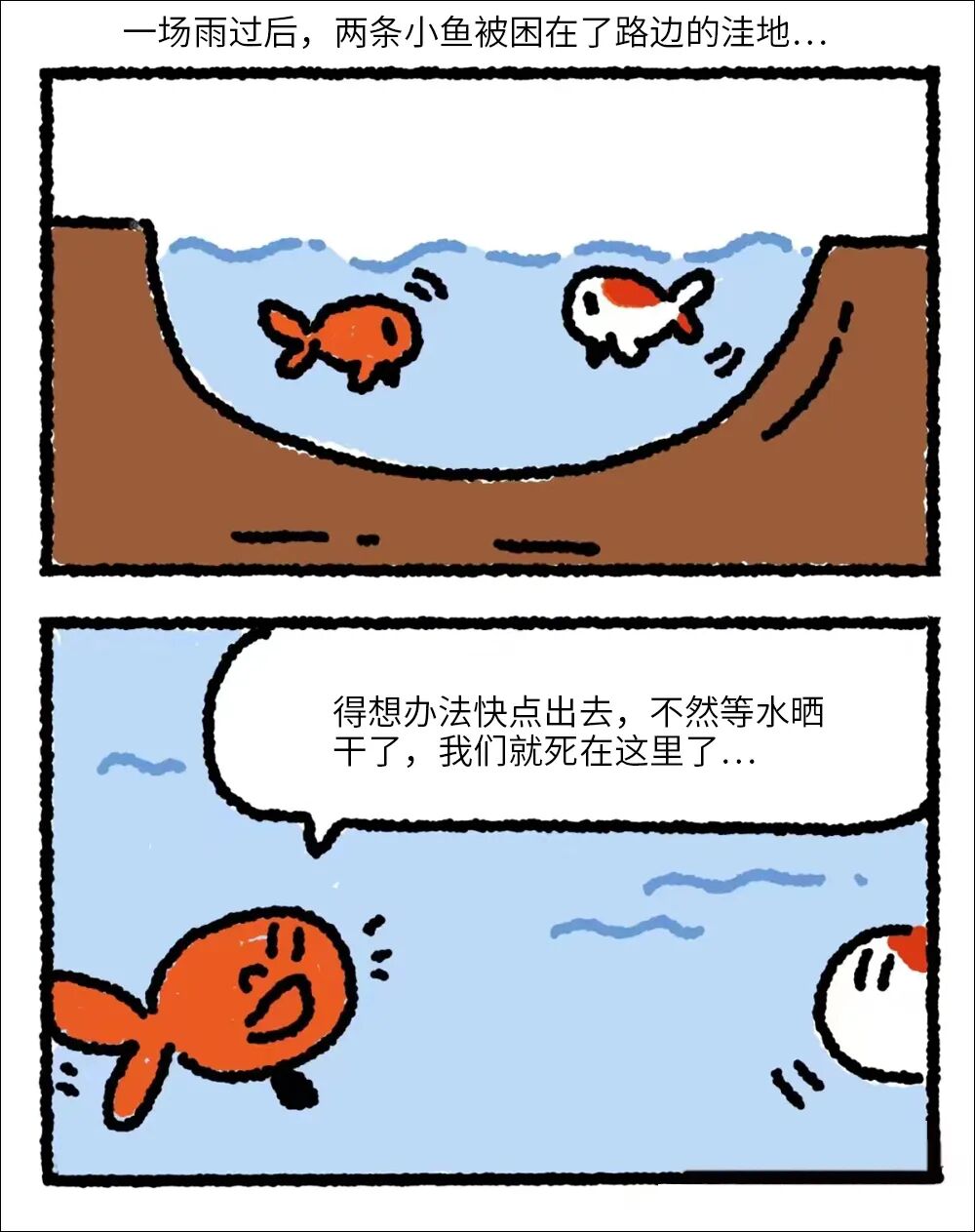每日meme