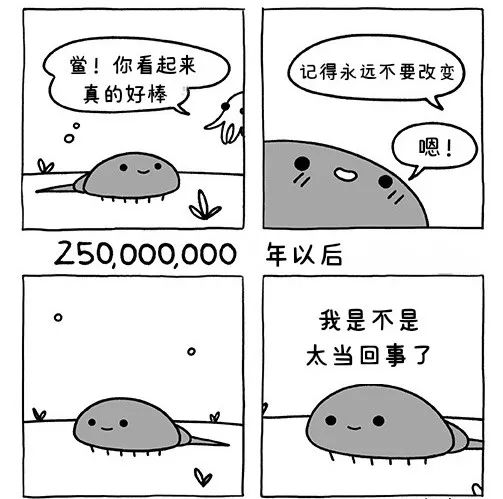 每日meme