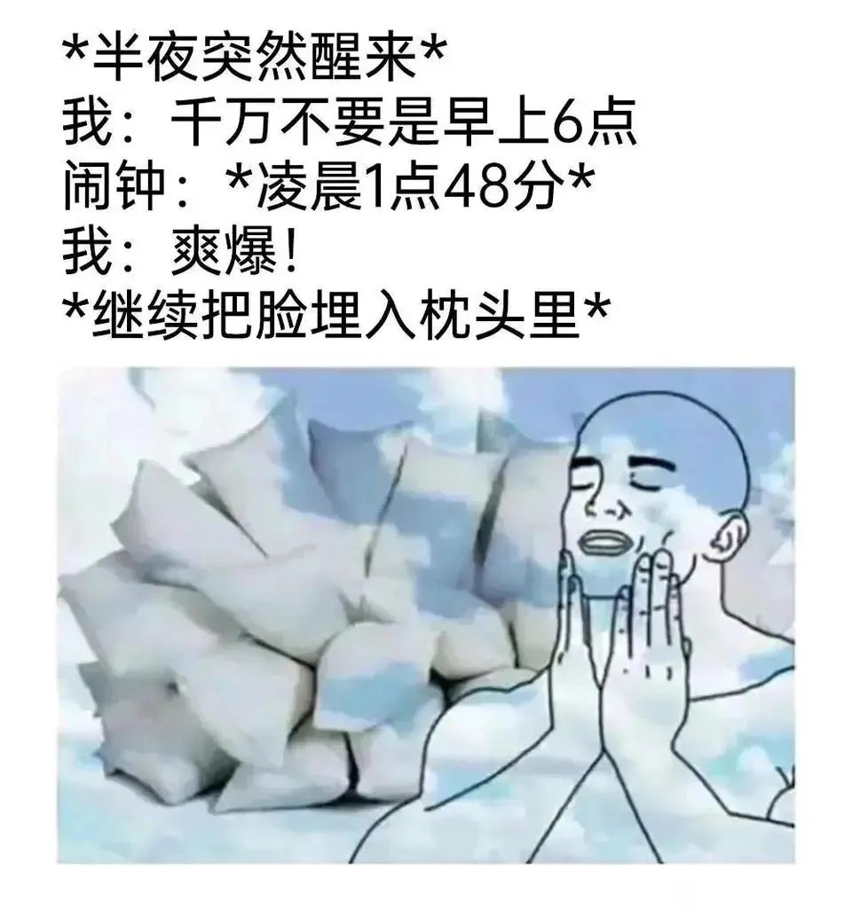 每日meme