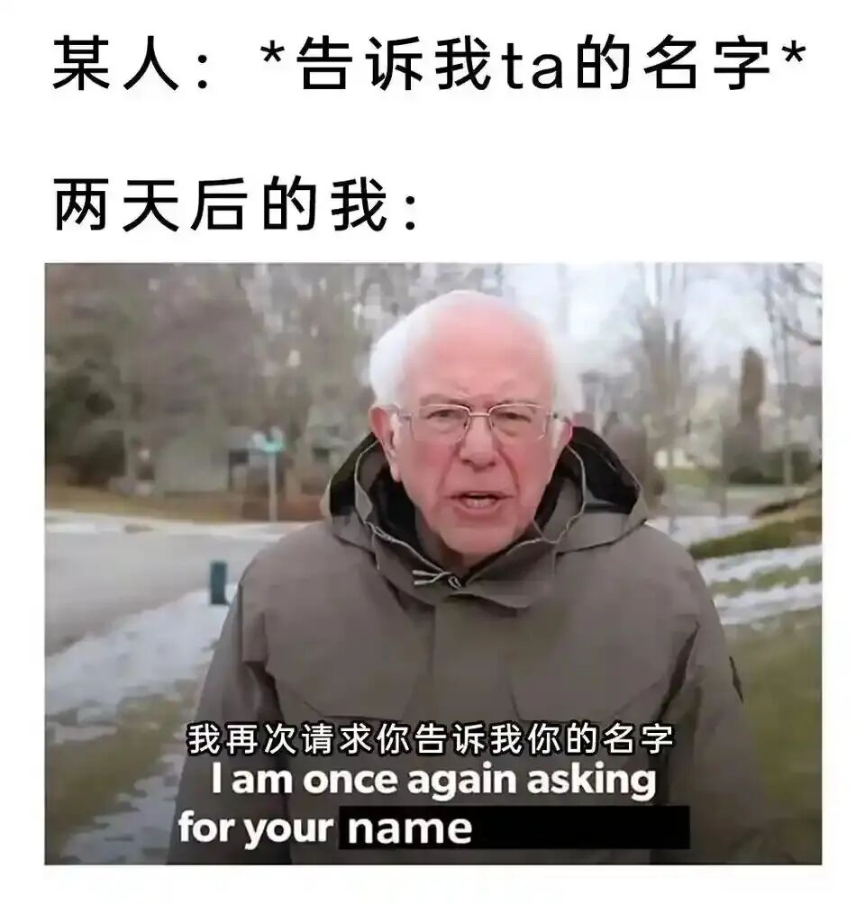 每日meme