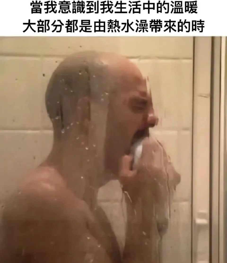 每日meme