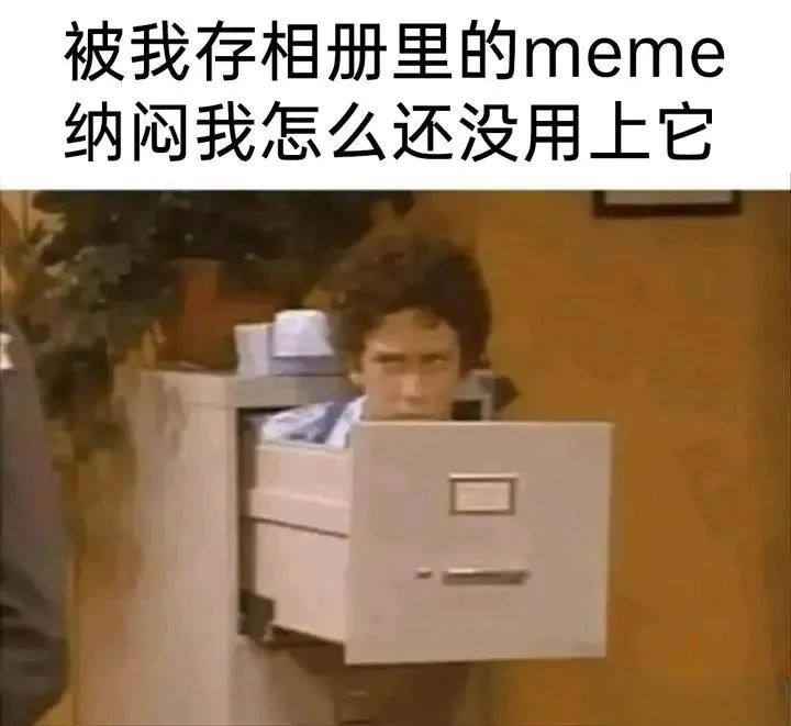 每日meme