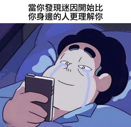 每日meme