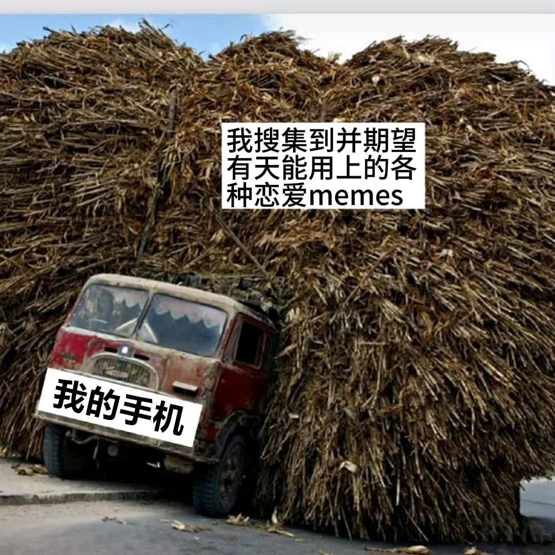 每日meme