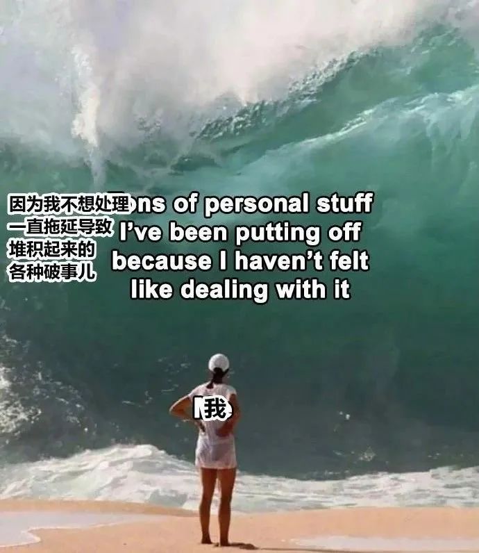 每日meme