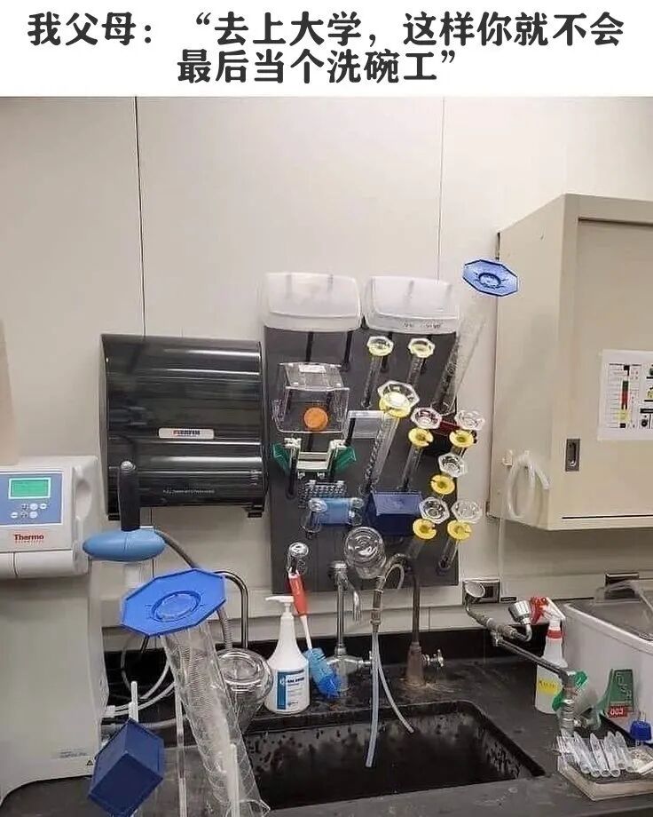 每日meme
