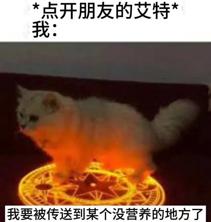 每日meme