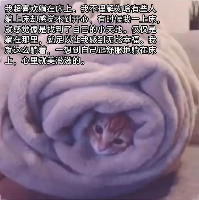每日meme