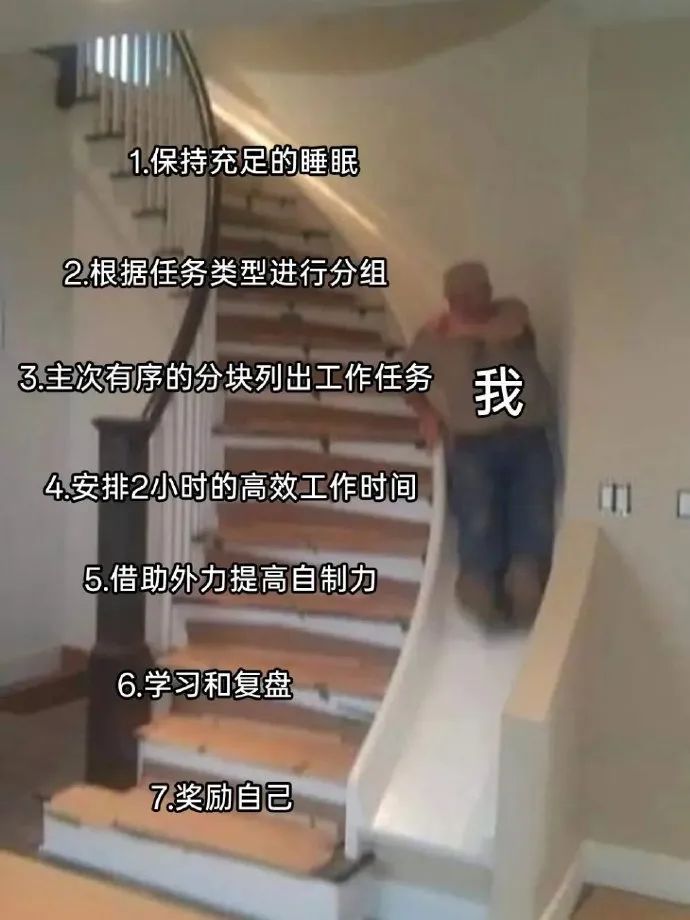 每日meme