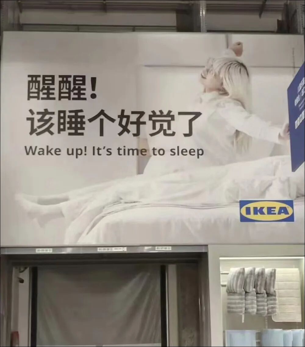 每日meme