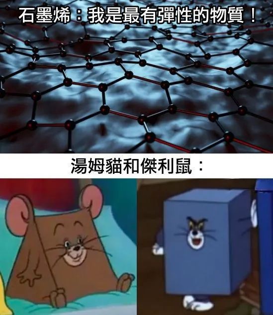 每日meme