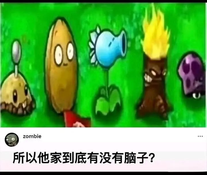 每日meme