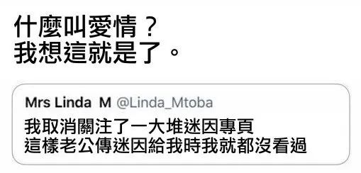 每日meme