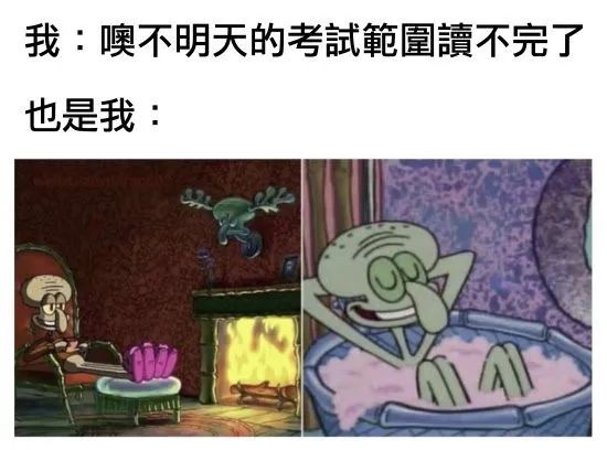 每日meme