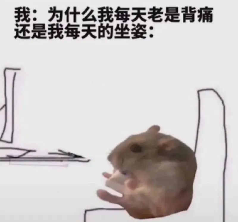 每日meme