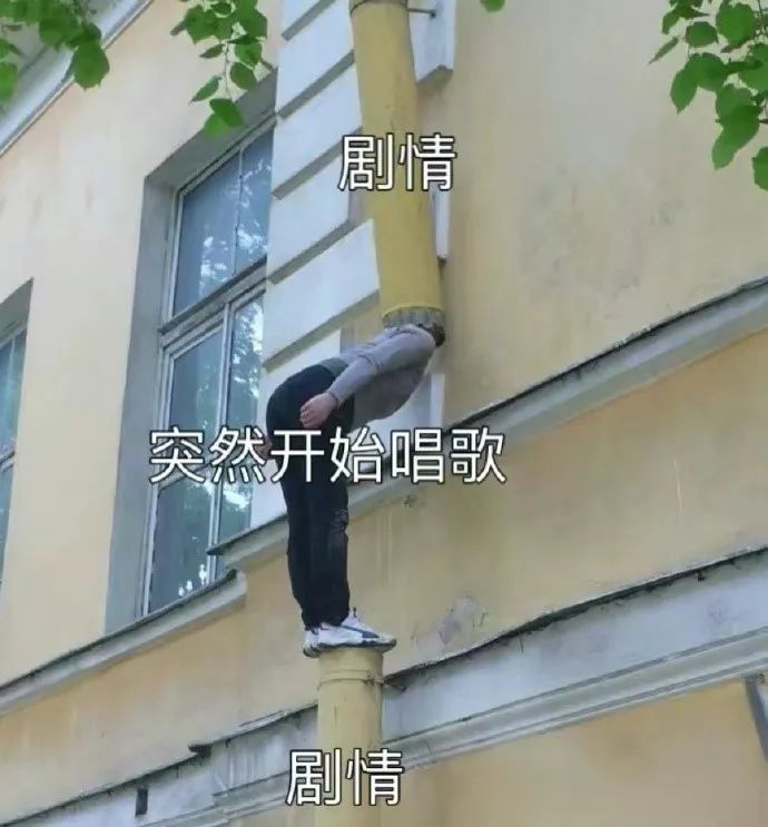每日meme