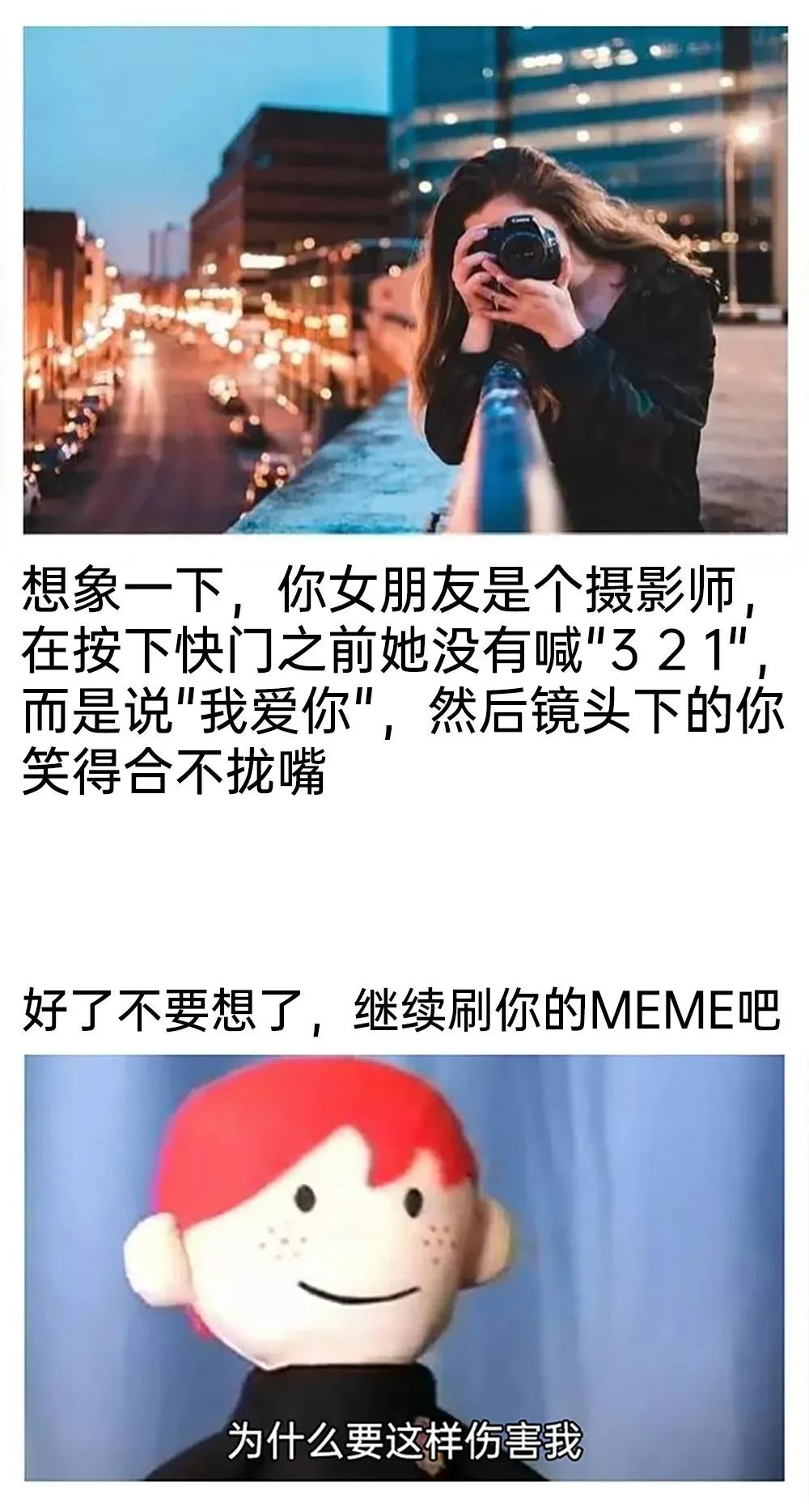 每日meme