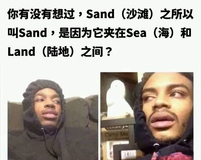 每日meme