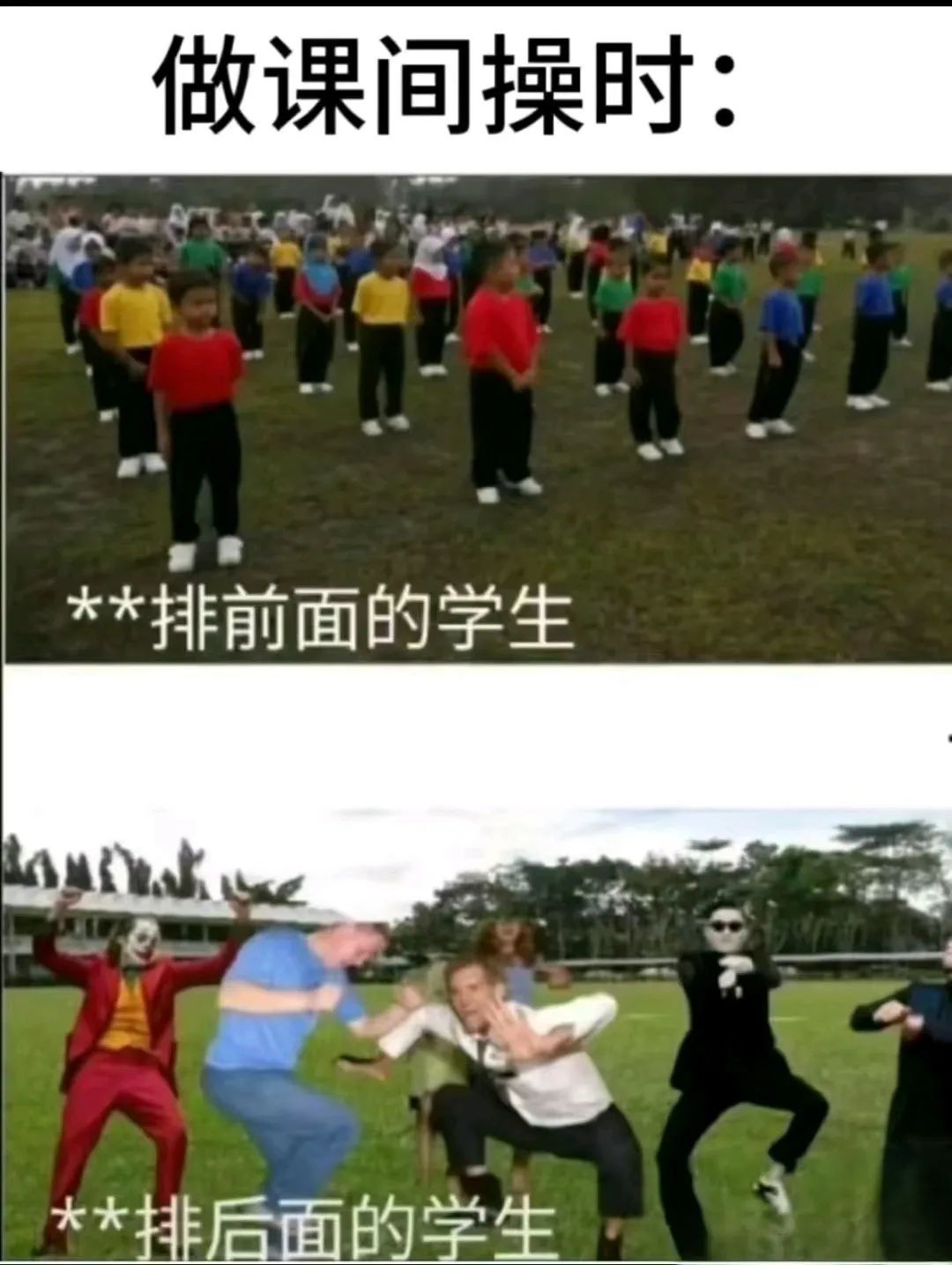 每日meme
