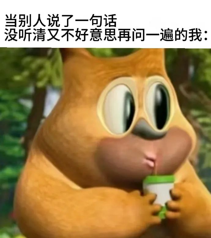 每日meme
