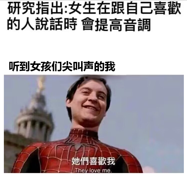 每日meme