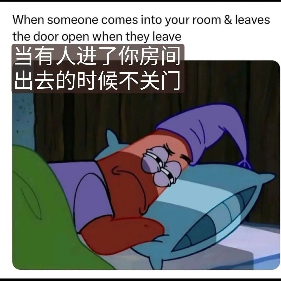 每日meme