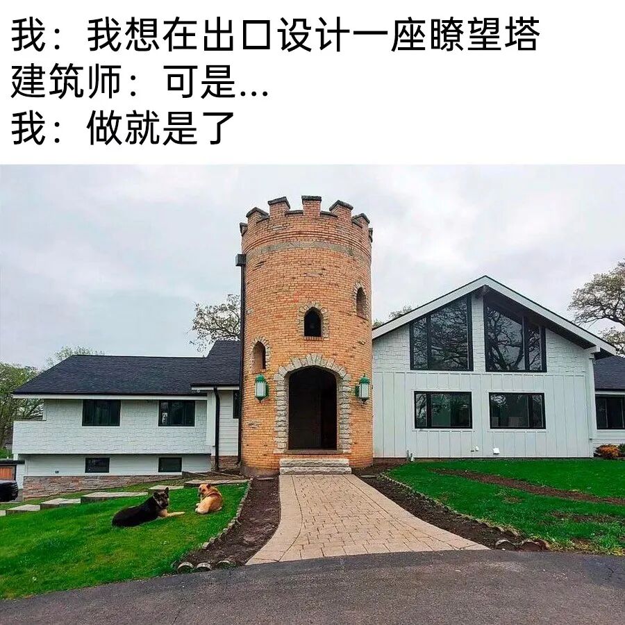 每日meme