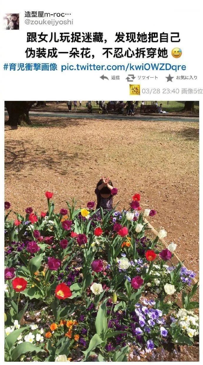 每日meme