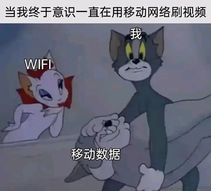 每日meme